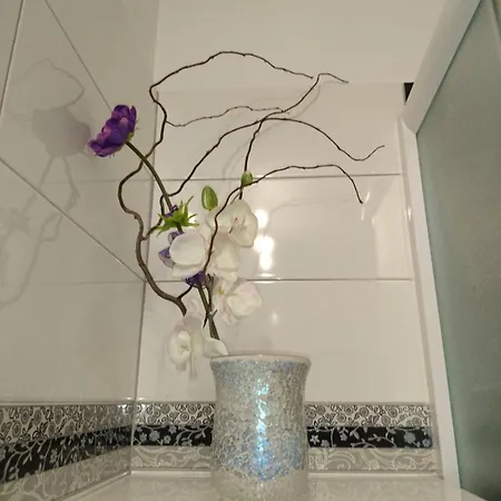 Apartment Maris Split